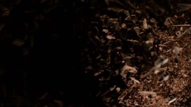 Çiğ çikolata parçalarından oluşan uçan bir grup süper yavaş çekim. Yüksek hızlı sinema kamerası, 1000fps.