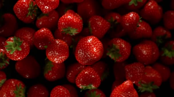 Super Zeitlupe Von Erdbeeren Isoliert Auf Schwarzem Hintergrund Gefilmt Mit — Stockvideo