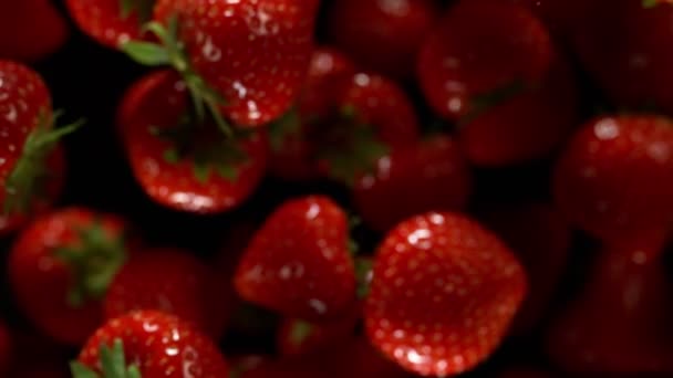 超慢运动的草莓孤立在黑色的背景 用高速摄像机拍摄 每秒1000帧 — 图库视频影像