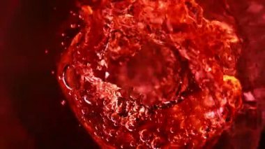 Kırmızı şarabın süper yavaş çekimleri, şişe manzaralı. Yüksek hızlı sinema kamerası, 1000 fps..