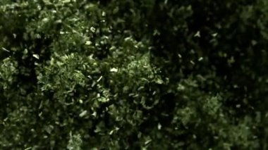 Maydanozun ya da baharatın çok yavaş uçması. Yüksek hızlı sinema kamerası, 1000 fps.