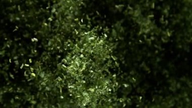 Maydanozun ya da baharatın çok yavaş uçması. Yüksek hızlı sinema kamerası, 1000 fps.