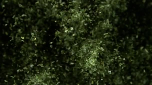 Super Lent Mouvement Persil Sec Volant Épices Aux Herbes Filmé — Video
