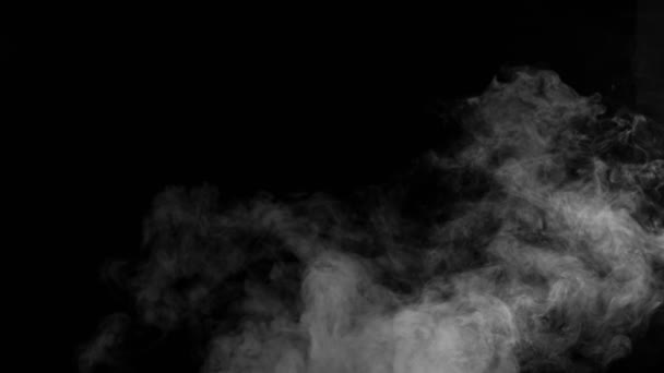 Zwolniony Ruch Efektu Białego Dymu — Wideo stockowe