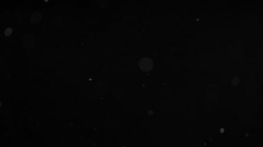 Siyah zemin üzerinde doğal organik toz parçacıklarının yavaş hareketi. Yüksek hızlı sinema kamerasıyla çekilmiş.