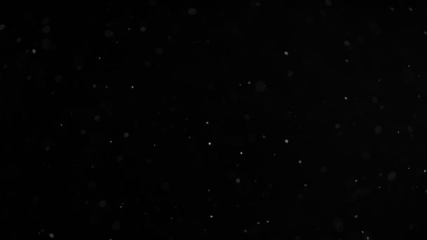 Mouvement lent des particules de poussière organique naturelle sur fond noir. Filmé sur caméra de cinéma à grande vitesse 