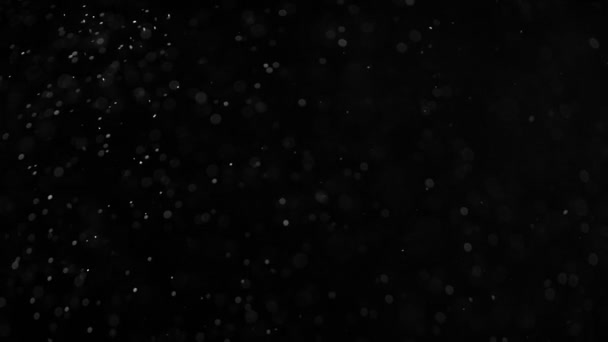 天然有机尘埃颗粒在黑色背景上的缓慢运动 用高速电影摄影机拍摄 — 图库视频影像
