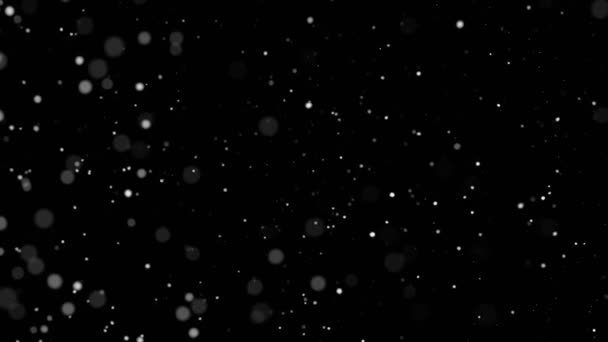 黒の背景に自然な有機塵粒子の遅い動き 高速シネマカメラで撮影 — ストック動画