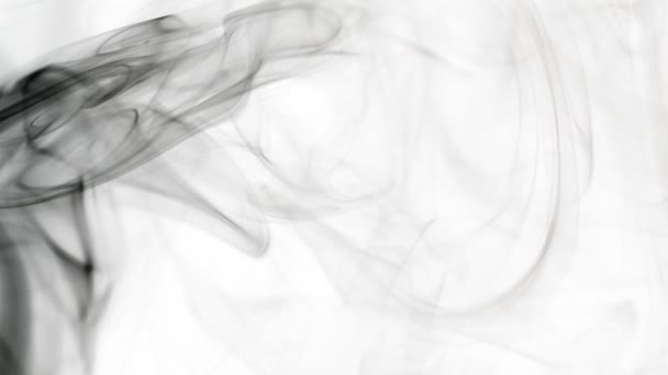 Movimento Lento Fumo Nero Isolato Sfondo Bianco Girato Una Cinepresa — Video Stock