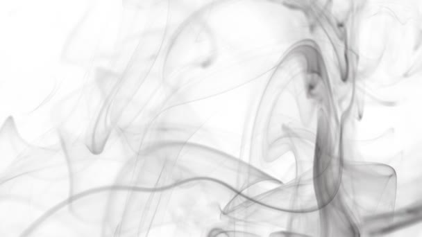 Fekete Füst Lassú Mozgása Fehér Háttérrel Elszigetelve Fényképezte Nagy Sebességű — Stock videók