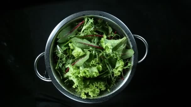 Super Langzame Beweging Van Roterende Verse Salade Met Waterdruppels Gefilmd — Stockvideo
