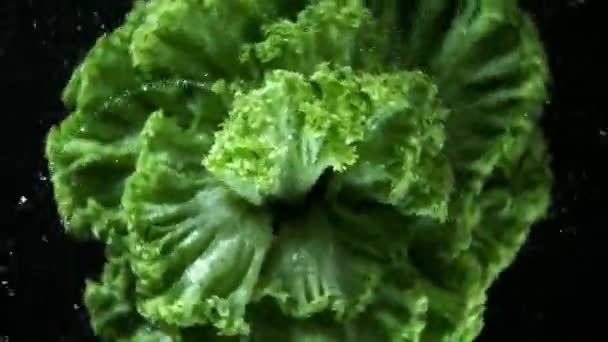 Super Zpomalení Otáčení Čerstvého Salátu Kapkami Vody Natočeno Vysokorychlostní Kameře — Stock video
