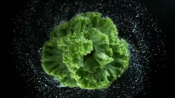 Damlalarıyla Dönen Taze Salatanın Süper Yavaş Çekimi Yüksek Hızlı Sinema — Stok video