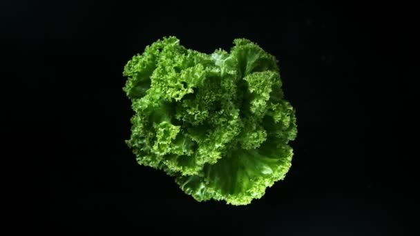 Super Zeitlupe Rotierenden Frischen Salat Mit Wassertropfen Gefilmt Mit High — Stockvideo