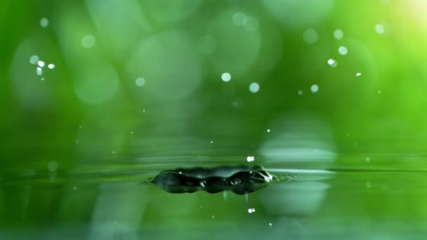 Super Slow Motion Falling Water Drop Leaf Filmed High Speed — Stock Video