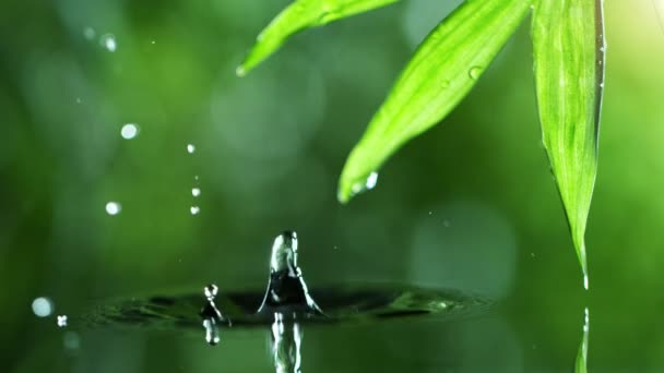 Super Zeitlupe Des Wassertropfens Mit Palmblatt Spa Und Wellness Konzept — Stockvideo