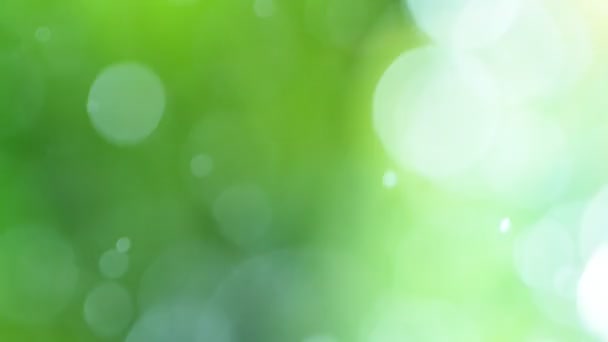 Super lent mouvement de gouttes d'eau floue sur fond vert abstrait. Filmé sur caméra de cinéma à très grande vitesse, 1000 images par seconde .