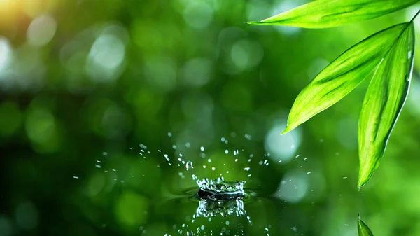 Woda opadająca z liściem palmy — Zdjęcie stockowe