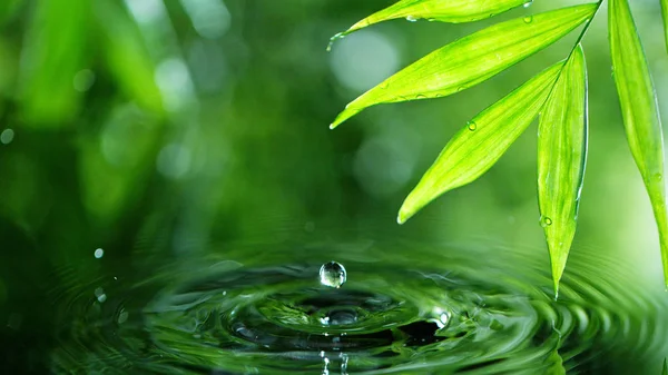 Νερό που πέφτει με φύλλα φοίνικα — Φωτογραφία Αρχείου
