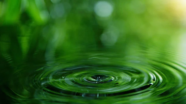 Dropping water in detail — Stock Image Dropping water in detail Stock Photo