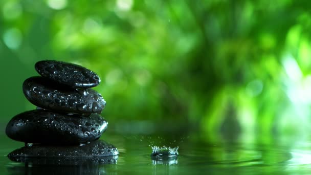 Super Slow Motion Dripping Drops Bamboo Spa Wellness Concept Filmed — Stock Video