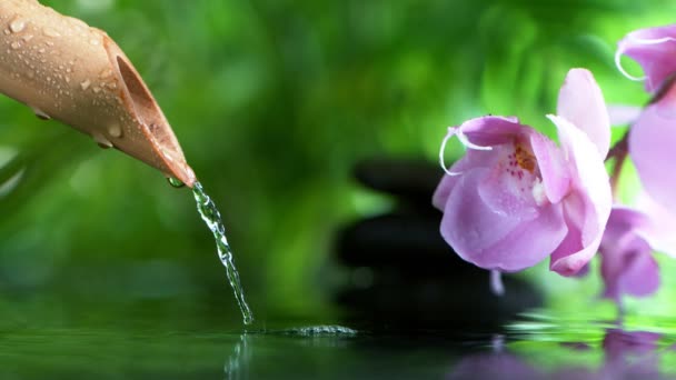 Super Slow Motion Leaking Water Stream Bamboo Spa Wellness Concept — Stock Video