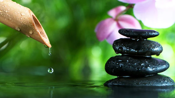 Gotas de gotas de tubo de bambu — Fotografia de Stock