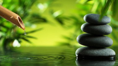 Bambu tüpünden akan bir su akıntısı.