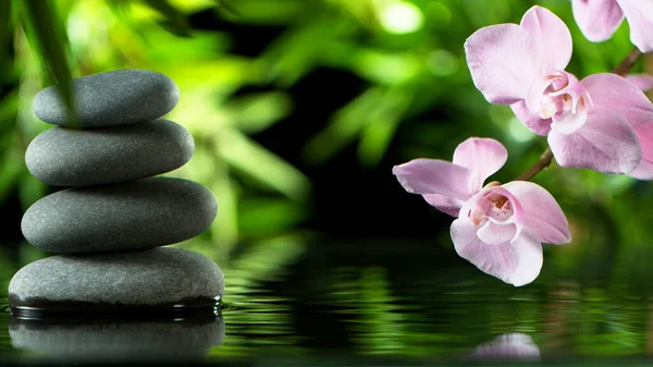 Superficie de agua tranquila con piedras de lava negro — Foto de Stock