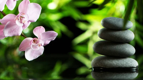 Superficie de agua tranquila con piedras de lava negro —  Fotos de Stock