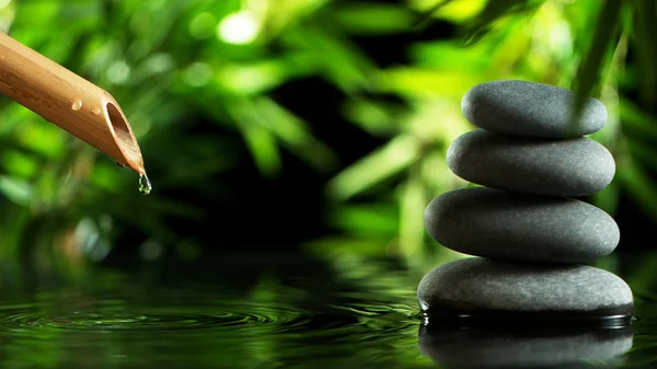 A stream of water flowing out of bamboo tube — Stock Photo, Image