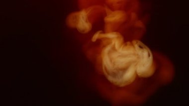 Kahve içeceğinin içine süt koymanın çok yavaş bir yolu. Çok hızlı bir kamerayla çekildi, 1000 fps..