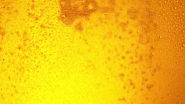 Super Slow Motion Macro Shot Beer Drink Close Filmé Sur — Video