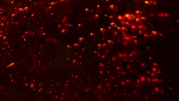 Szuper Lassított Felvétel Öntő Kóla Ital Buborékokkal Filmezett Nagy Sebességű — Stock videók
