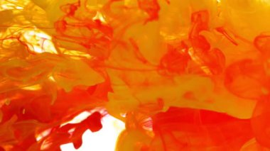 Sudaki renkli mürekkep çok yavaş akıyor. Beyaz arka planda izole edilmiş. Yüksek hızlı sinema kamerasıyla çekilmiş.