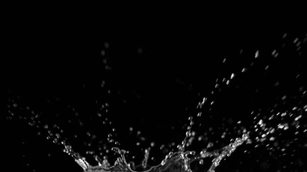 Super Langzame Beweging Van Spetterende Water Kroon Vorm Zwarte Achtergrond — Stockvideo