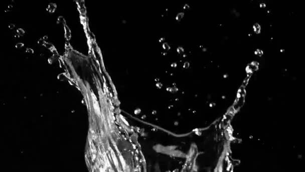 Movimiento Súper Lento Salpicar Forma Corona Agua Sobre Fondo Negro — Vídeo de stock