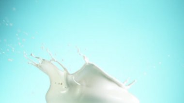 Yumuşak mavi arka planda izole edilmiş süper yavaş süt sıçraması. Yüksek hızlı sinema kamerası, 1000 fps..
