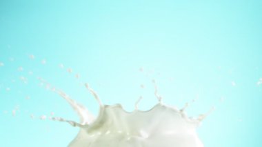 Yumuşak mavi arka planda izole edilmiş süper yavaş süt sıçraması. Yüksek hızlı sinema kamerası, 1000 fps..