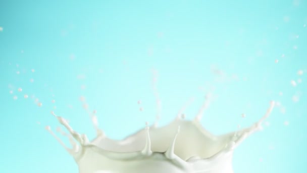 Σούπερ Αργή Κίνηση Του Γάλακτος Splash Απομονώνονται Μαλακό Μπλε Φόντο — Αρχείο Βίντεο