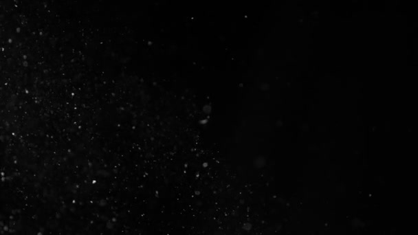 天然有机尘埃颗粒在黑色背景上的缓慢运动 用高速摄像机拍摄 每秒1000英尺 — 图库视频影像