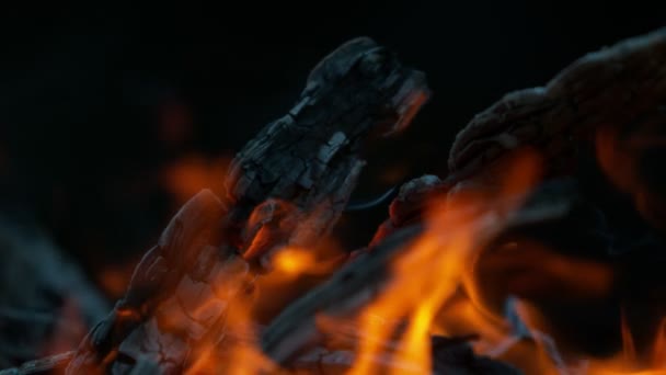 Super Zeitlupe Der Flammen Mit Baumstämmen Isoliert Auf Schwarzem Hintergrund — Stockvideo