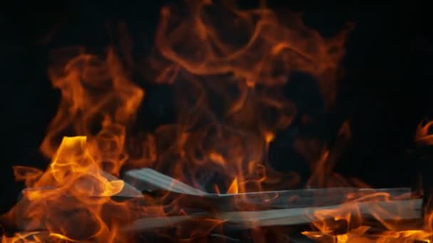 Super Zeitlupe Der Flammen Mit Baumstämmen Isoliert Auf Schwarzem Hintergrund — Stockvideo