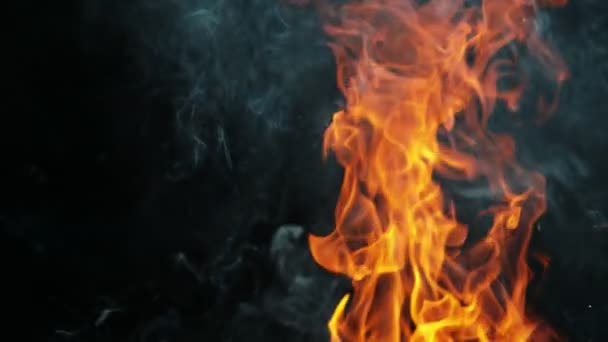Mouvement Super Lent Des Flammes Isolées Sur Fond Noir Filmé — Video