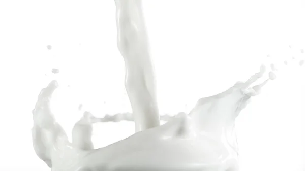 Süt Beyaz Arka Planda Izole Edilmiş Taç Şeklinde Sıçramış — Stok fotoğraf