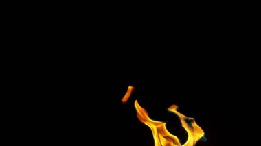 Siyah arka planda izole edilmiş çok yavaş renkli ateş patlamaları. Yüksek hızlı kamera, 1000 fps.