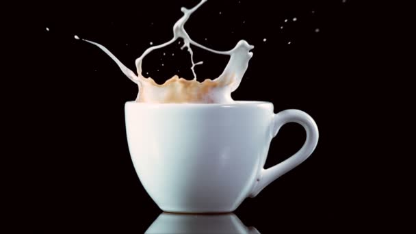 黒を背景に コーヒーカップに砂糖キューブ落下の超遅い動き 高速シネマカメラ 1000Fpsで撮影 — ストック動画