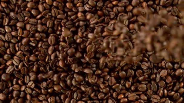 コーヒー豆の落下の超スローモーション 高速フィルムカメラで撮影しました — ストック動画