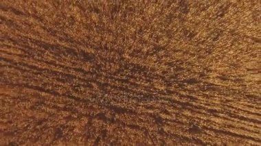 4 k gün batımında alanlarının hava atış