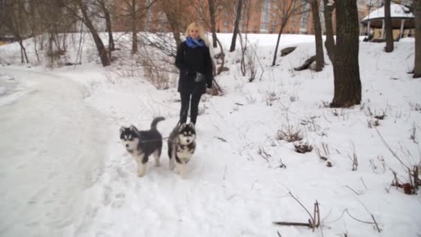 Paisagem de inverno com menina loira brincando com cães malamute husky siberianos fora . — Vídeo de Stock